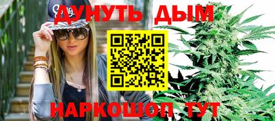 индика Партизанск