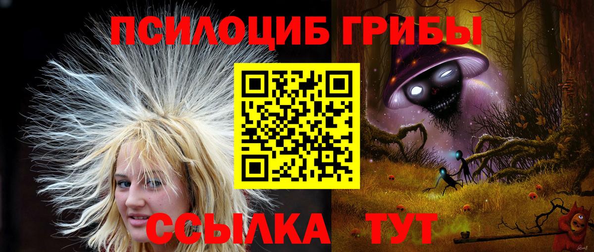 Галлюциногенные грибы Psilocybine cubensis  Псилоцибиновые грибы Magic Shrooms  Санкт-Петербург  Вход с VPN 