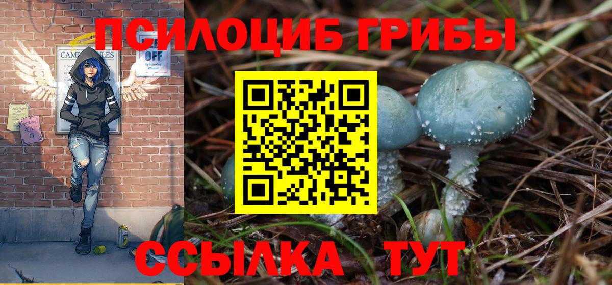 Псилоцибиновые грибы MAGIC MUSHROOMS Санкт-Петербург
